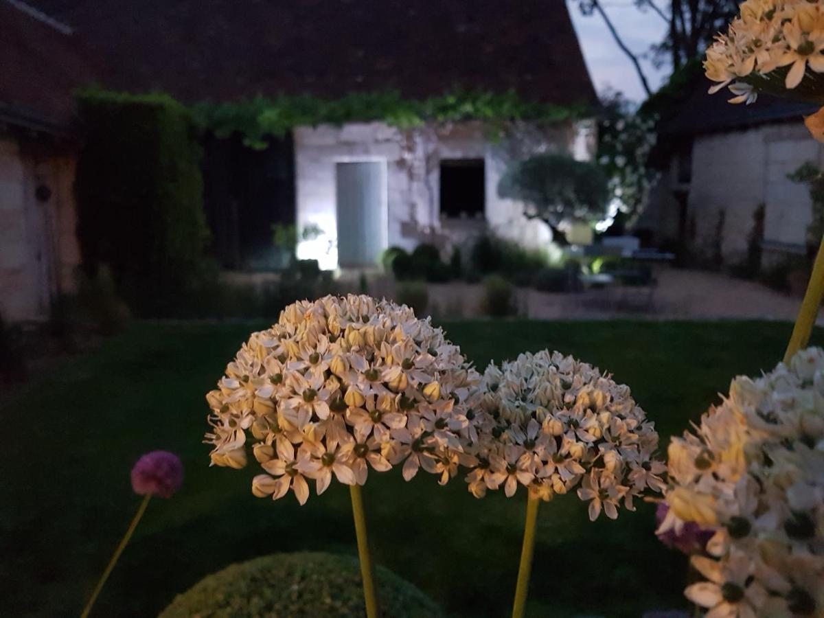 Le Clos Falaw Azay-sur-Cher Экстерьер фото